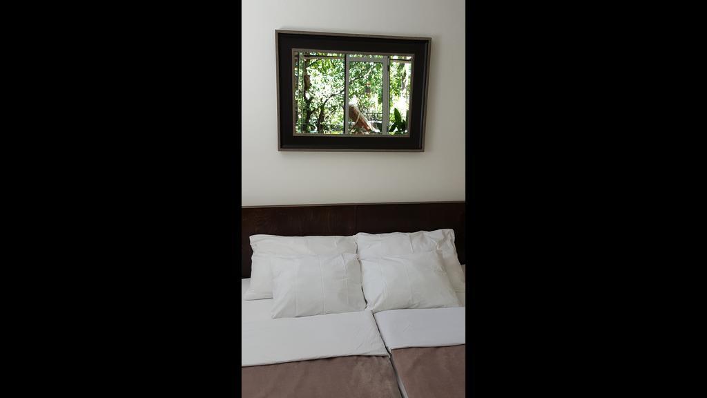 Turtle Apartments Dubrovnik Quarto foto
